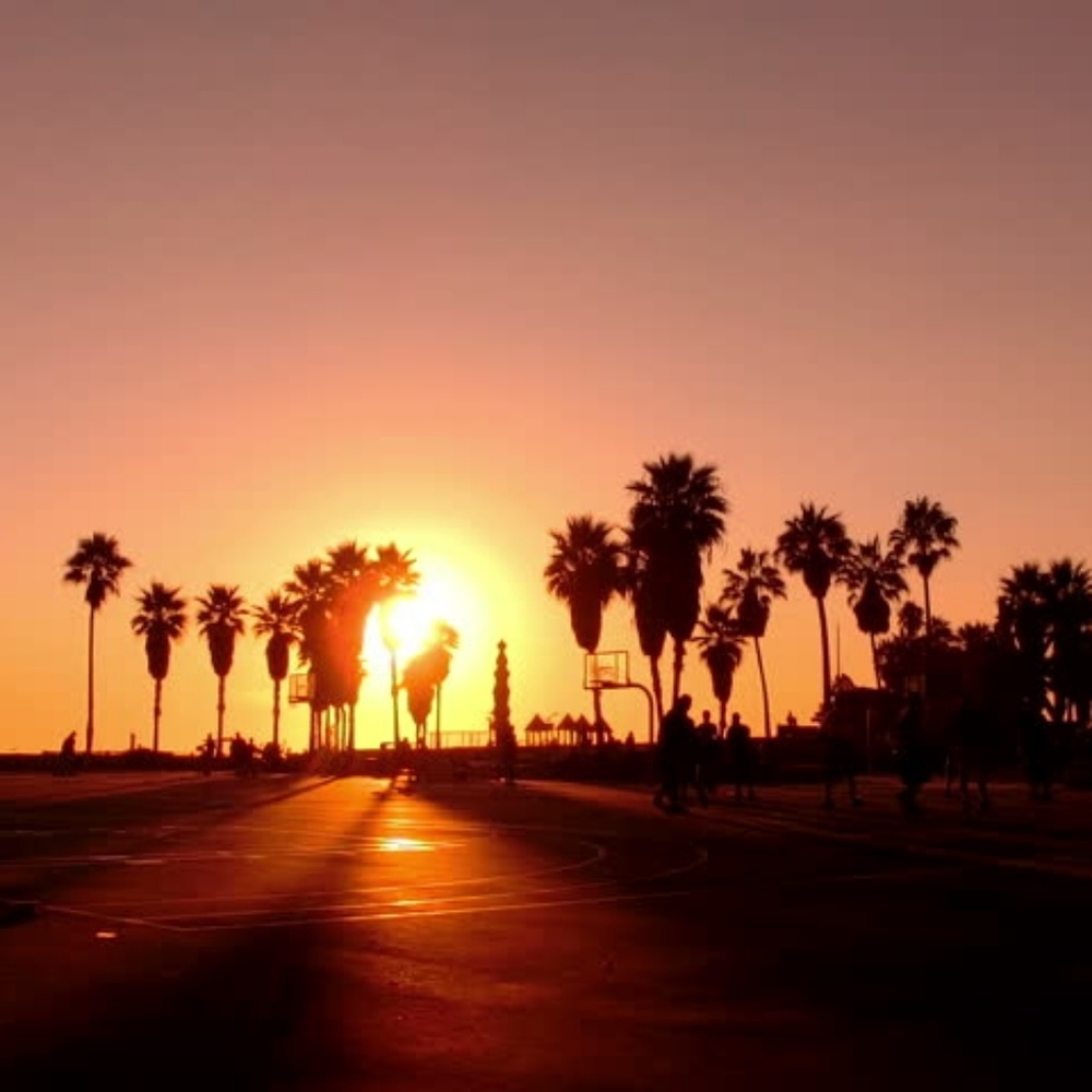 Meet your Posher, Paul